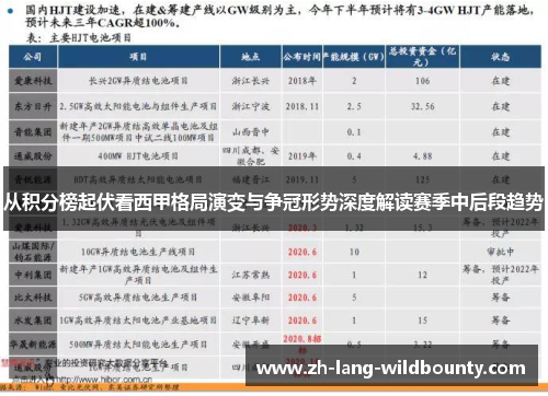 从积分榜起伏看西甲格局演变与争冠形势深度解读赛季中后段趋势 从积分榜起伏看西甲格局演变与争冠形势深度解读赛季中后段趋势
